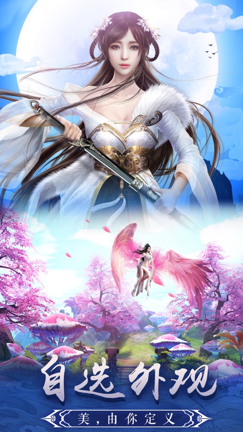 龙武内购修改版 游戏截图